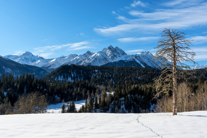 Архыз панорама