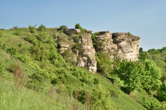Река Воргол