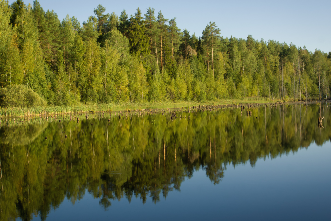 Берег озера