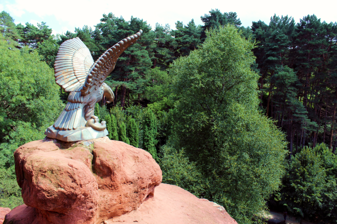 орел