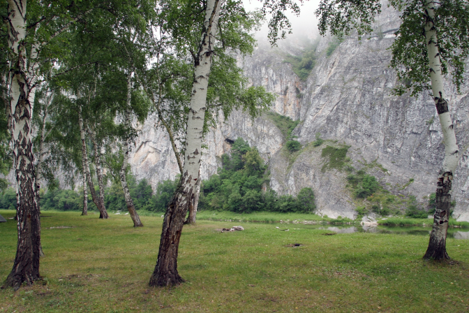 Лес Башкирия