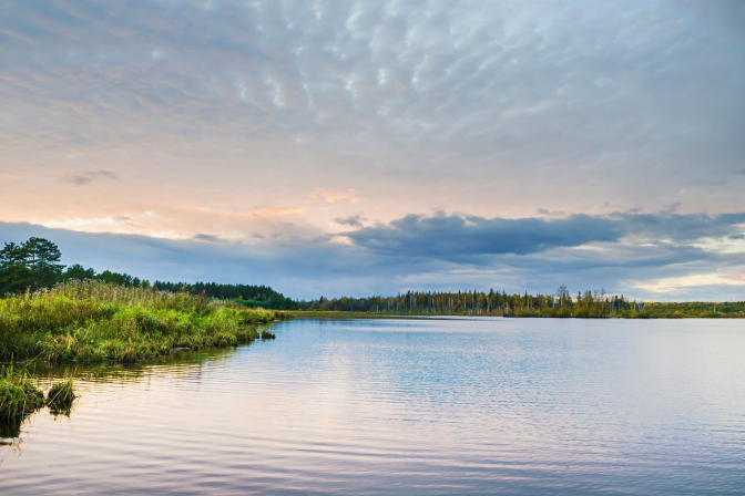 Берег водохранилища