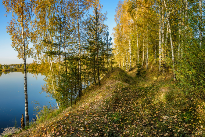 Череменецкое