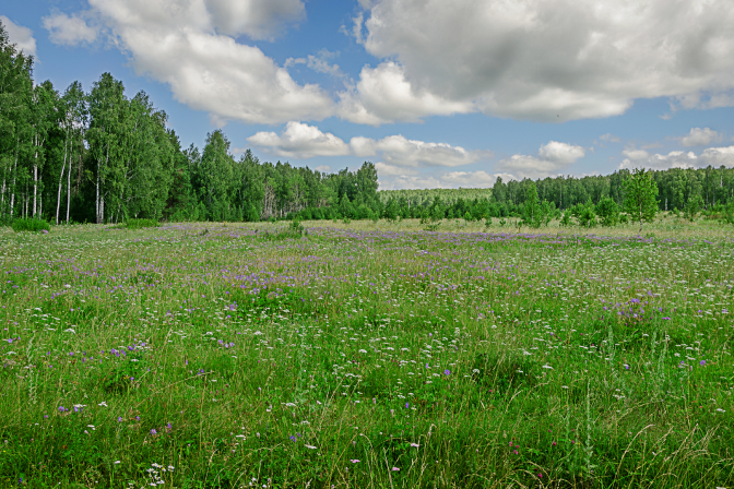 Карагай